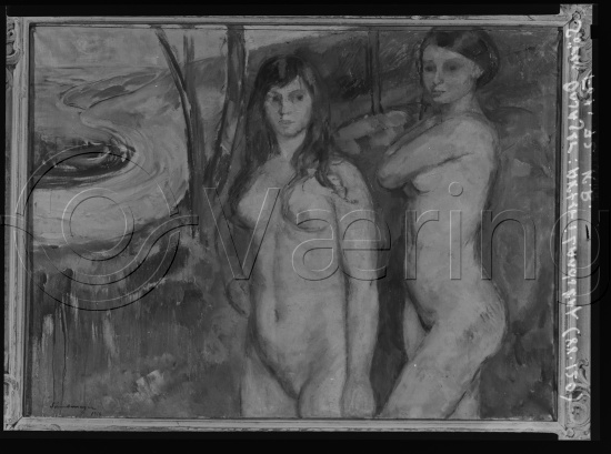 Glassplate og negativ film