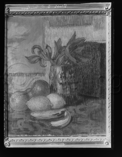 Glassplate og negativ film