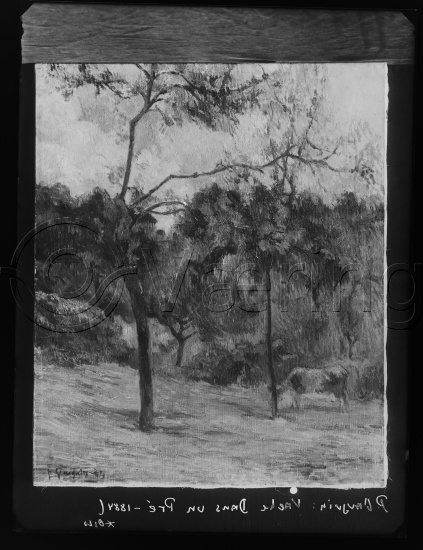 Glassplate og negativ film