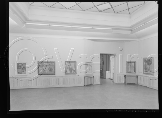 Glassplate og negativ film