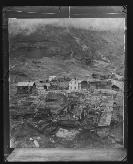 Glassplate og negativ bladfilm