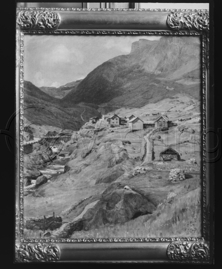 Glassplate og negativ bladfilm