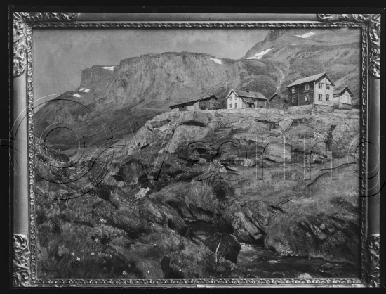 Glassplate og negativ bladfilm