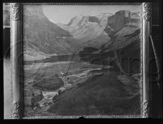 Glassplate og negativ bladfilm