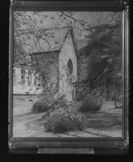 Glassplate og negativ bladfilm