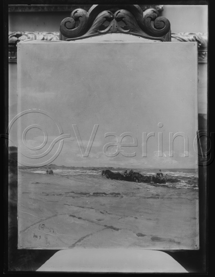 Glassplate og negativ bladfilm