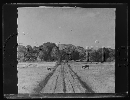 Glassplate og negativ bladfilm