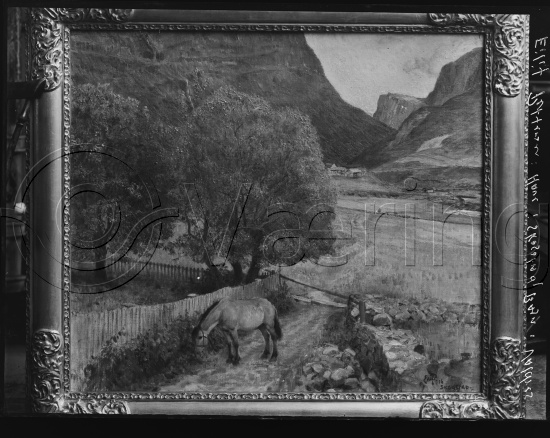 Glassplate og negativ bladfilm