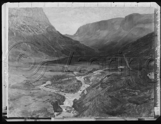 Glassplate og negativ bladfilm