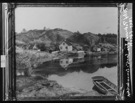 Glassplate og negativ bladfilm