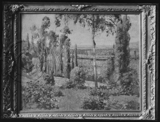Glassplate og negativ film