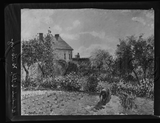 Glassplate og negativ film