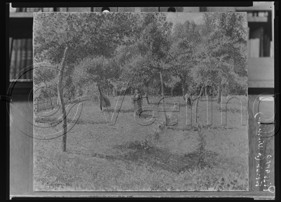 Glassplate og negativ film