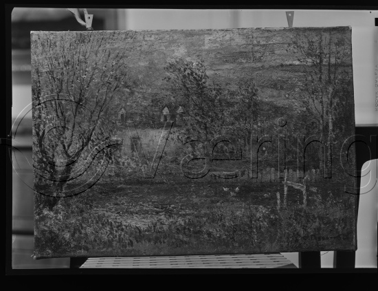 Glassplate og negativ film