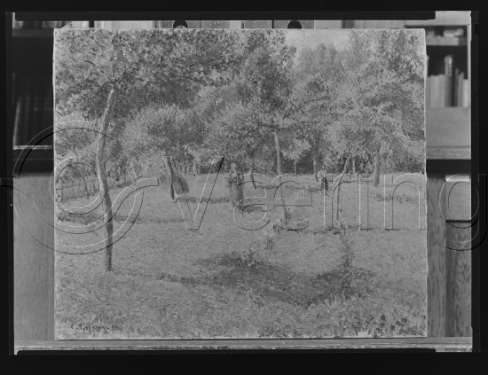 Glassplate og negativ film