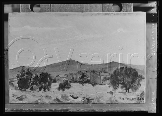 Glassplate og negativ film