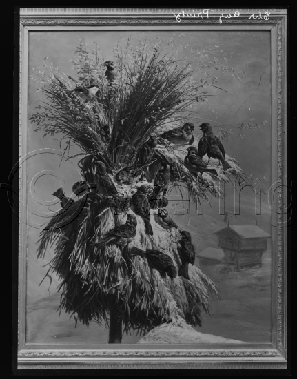 Glassplate og negativ film