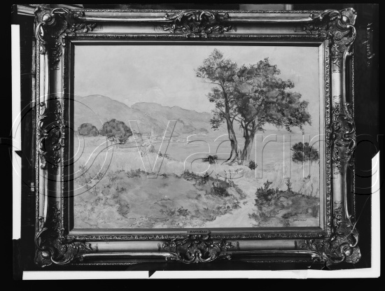 Glassplate og negativ film