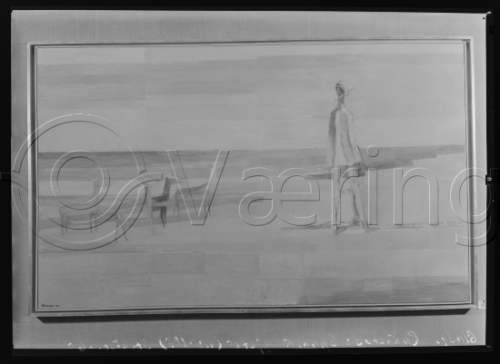 Glassplate og negativ film