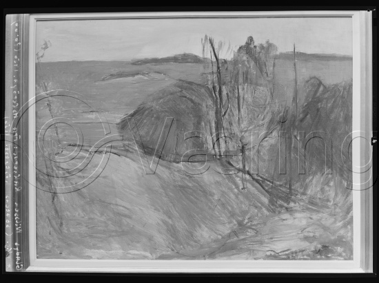 Glassplate og negativ film