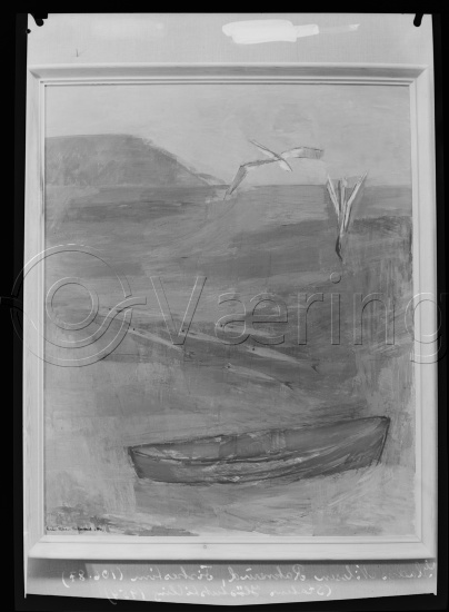 Glassplate og negativ film