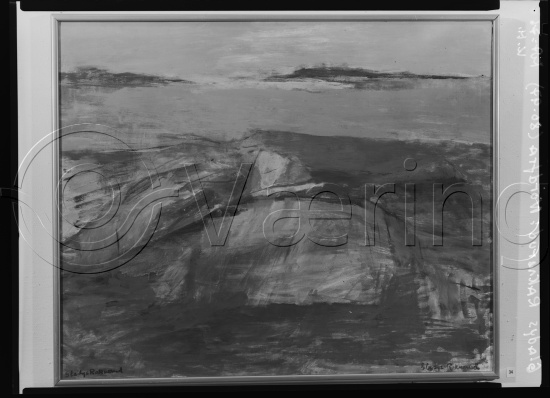 Glassplate og negativ film