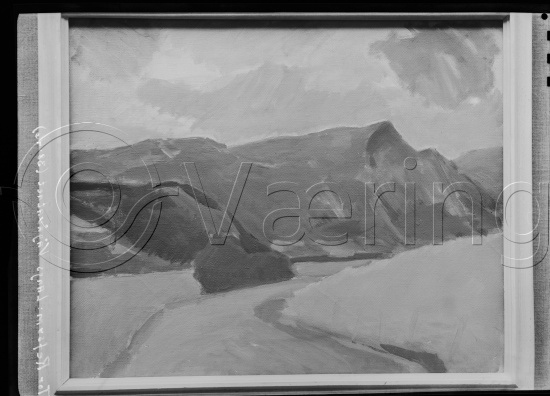 Glassplate og negativ film