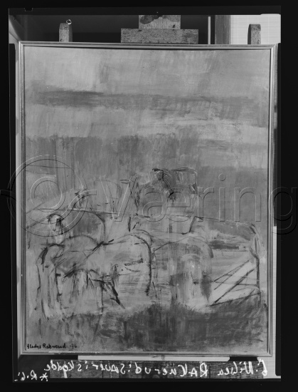 Glassplate og negativ film