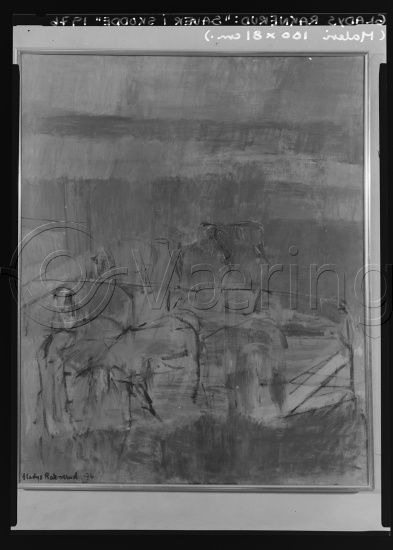 Glassplate og negativ film