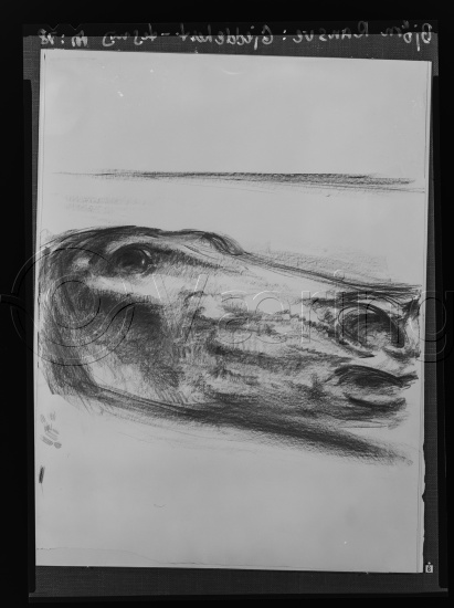 Ta kontak om bildene er vendt feil