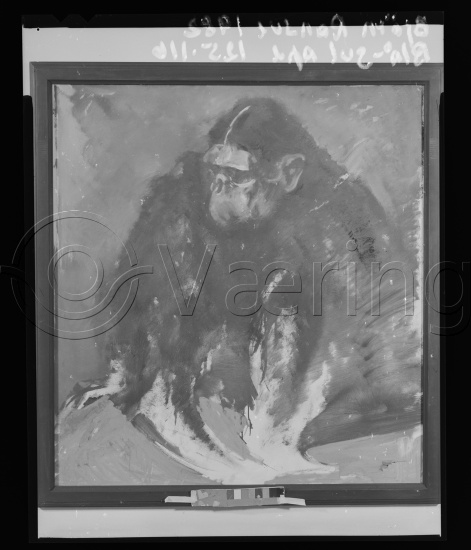 Ta kontakt om bildene er vendt feil