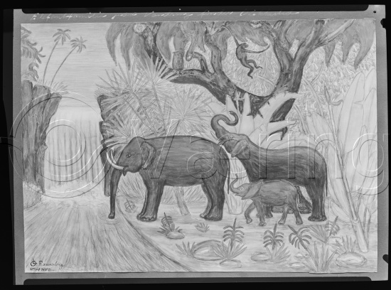 Glassplate og negativ film / Lå i samme fotoeske som kunstner Rolf Rude