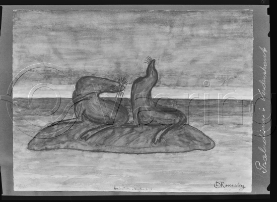 Glassplate og negativ film / Lå i samme fotoeske som kunstner Rolf Rude