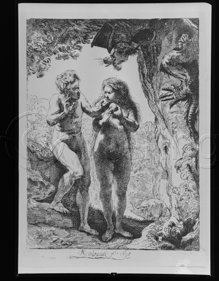 Glassplate og negativ film