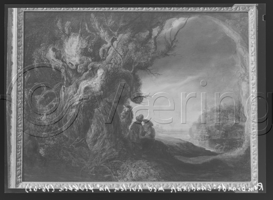 Glassplate og negativ film