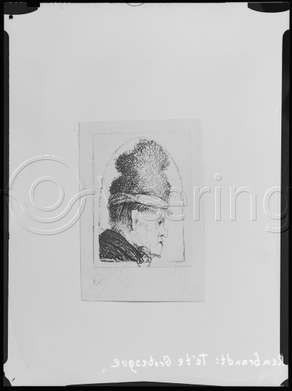 Glassplate og negativ film