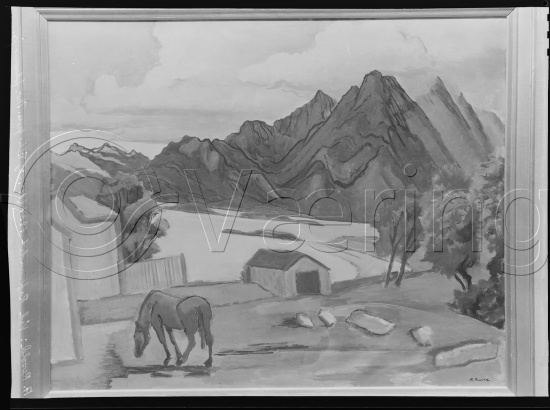 Glassplate og negativ film