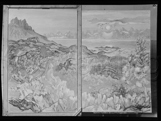 Glassplate og negativ film