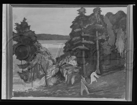 Glassplate og negativ film