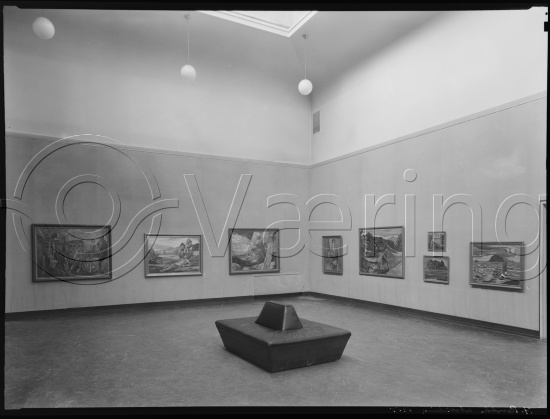 Glassplate og negativ film