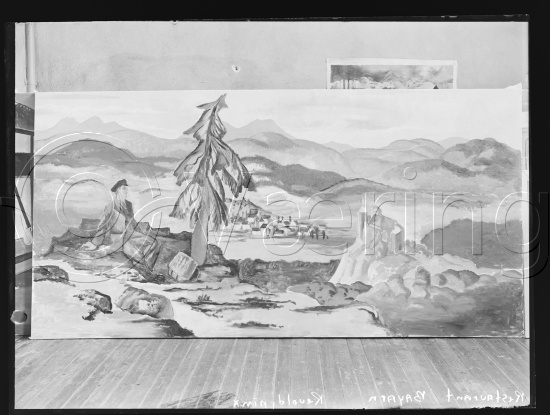 Glassplate og negativ film