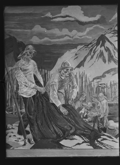 Glassplate og negativ film