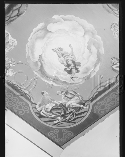 Glassplate og negativ film