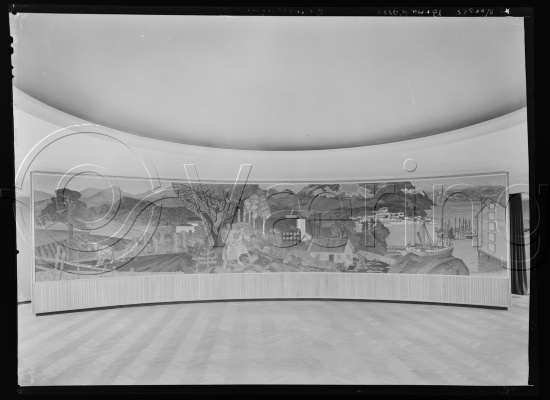 Glassplate og negativ film