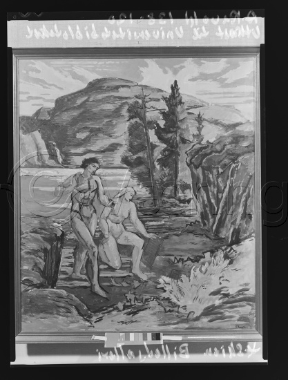 Glassplate og negativ film