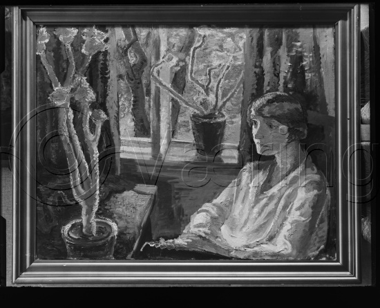 Glassplate og negativ film