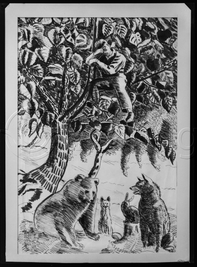 Glassplate og negativ film