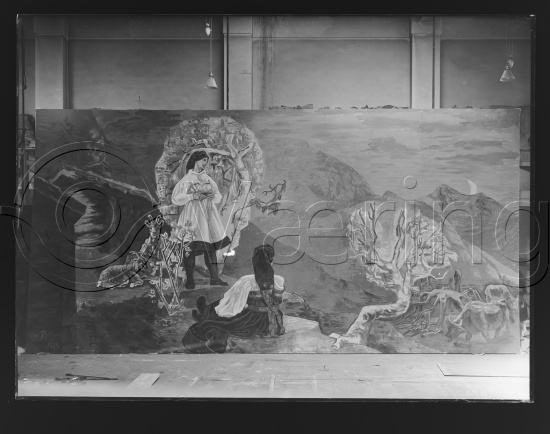 Glassplater og negativ film