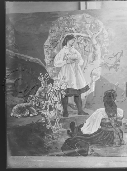 Glassplater og negativ film