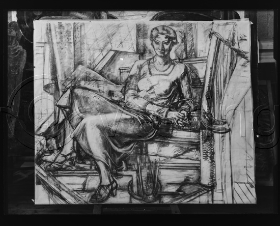 Glassplate og negativ film